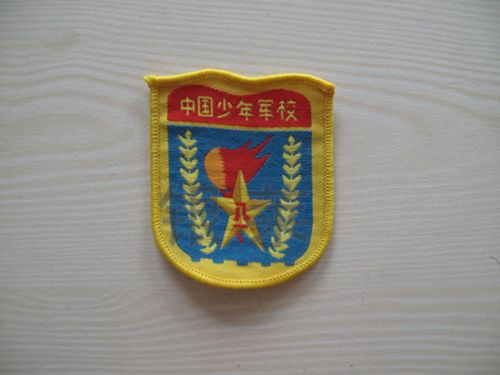 臂章（中國少年軍校）